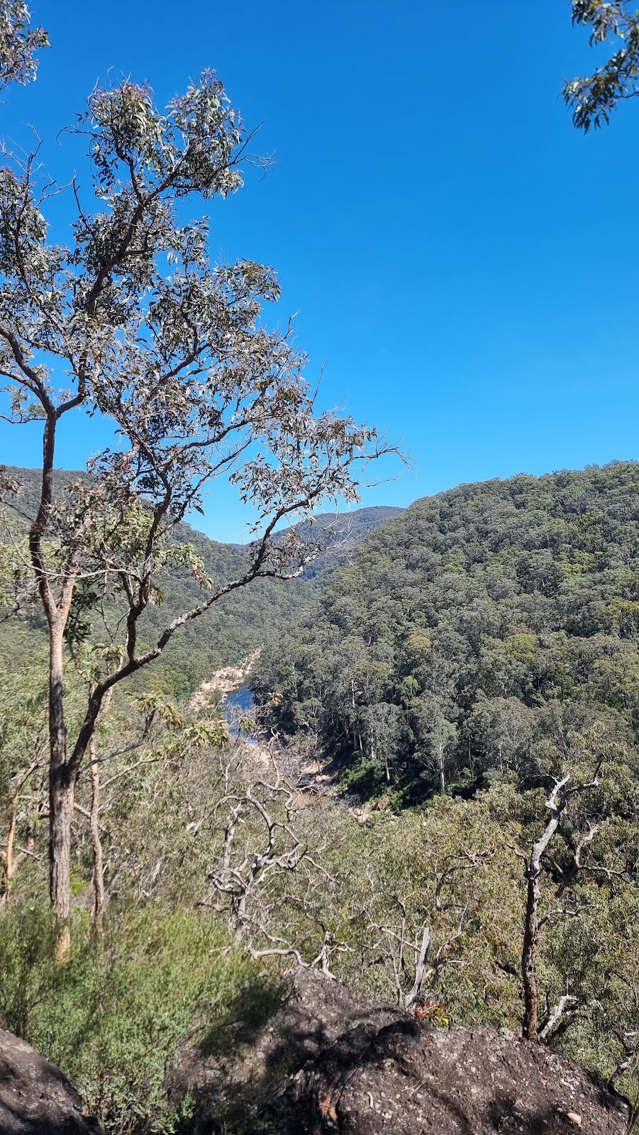 Deeimba Camp Grounds | 183 Mountain Ave, Yarramundi NSW 2753, Australia | Phone: 0418 738 784