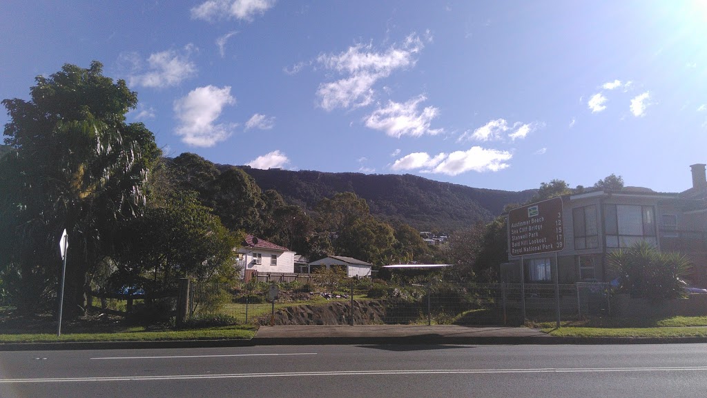 Thirroul Community Garden | park | Lawrence Hargrave Drive, Thirroul NSW 2515, Australia