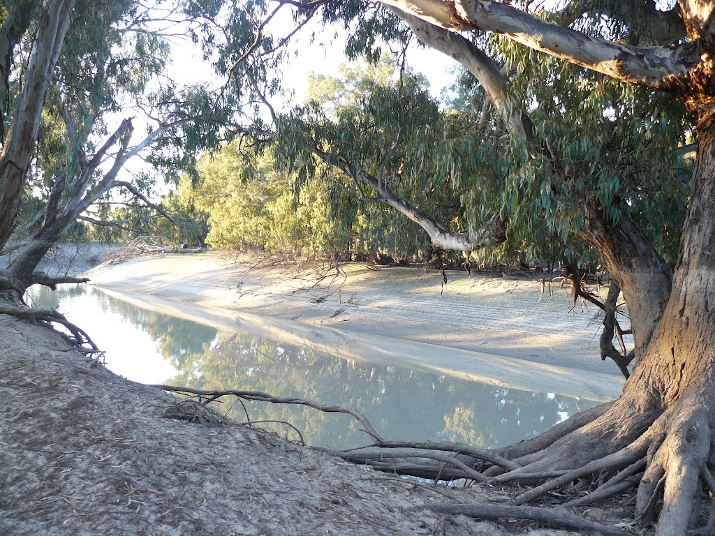 Bindara on the Darling | campground | Bindara, Tandou Rd, Menindee NSW 2879, Australia | 0880917412 OR +61 8 8091 7412