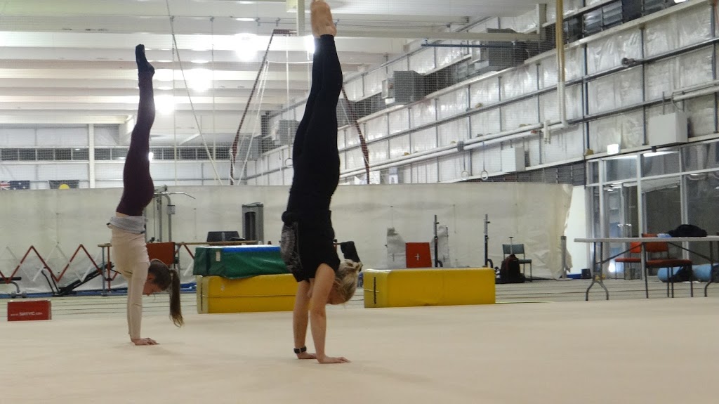 Cirque Athlete™ Personal Training | health | 27 Charles Ave, Broadbeach QLD 4218, Australia | 0424797440 OR +61 424 797 440