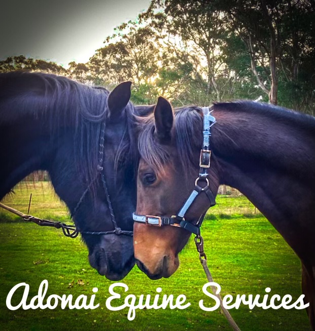 Adonai Equine Services | Mitchell Park Rd, Cattai NSW 2756, Australia | Phone: 0437 321 321