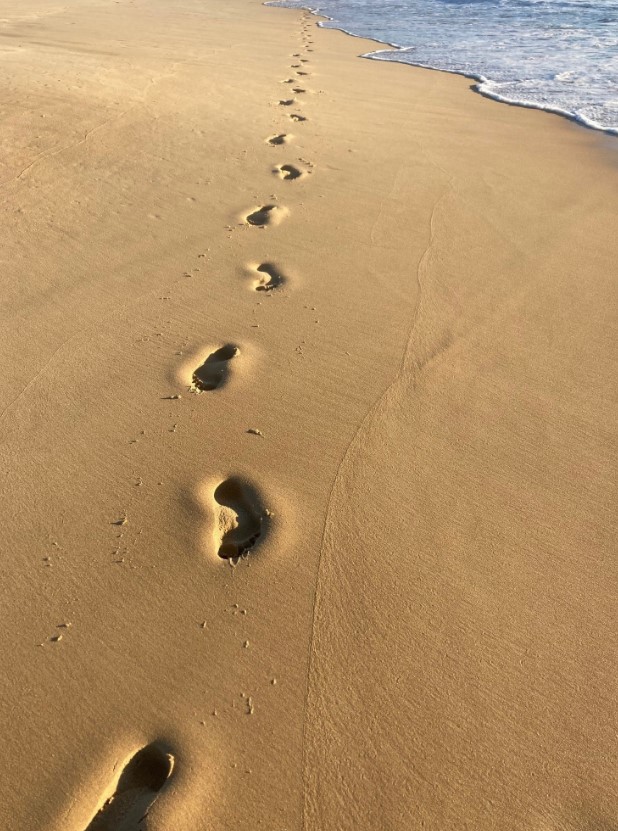 Barefoot Beach Yoga | 375 Blackfellows Point Rd, Potato Point NSW 2545, Australia | Phone: 0427 382 123