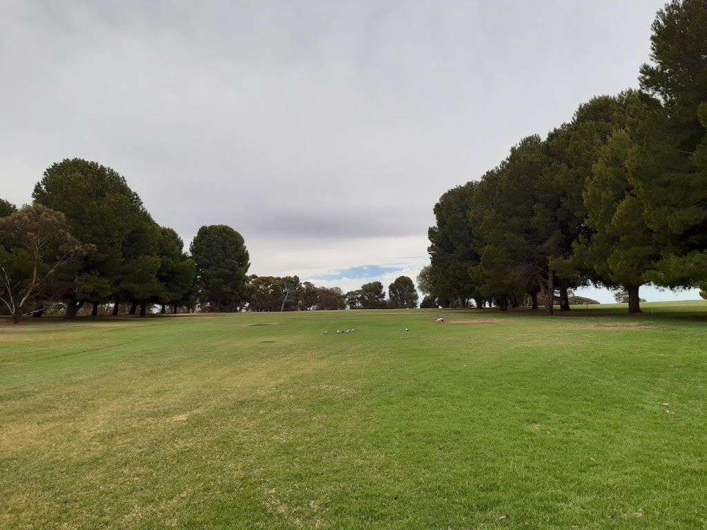 Mannum Golf Course | Mannum SA 5238, Australia | Phone: (08) 8569 2066