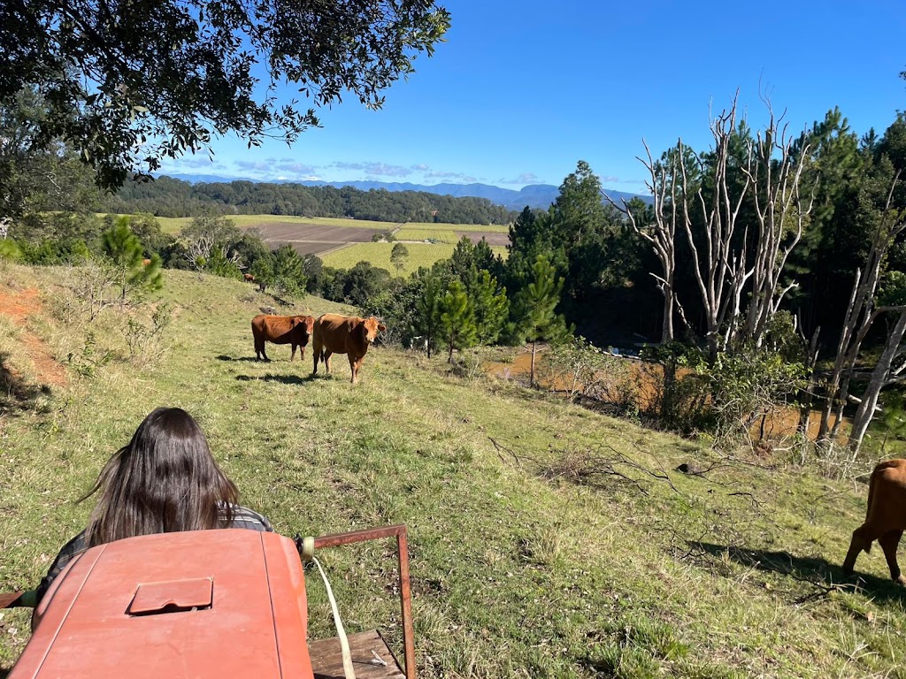 Dunnara Farm | 240 Duranbah Rd, Duranbah NSW 2487, Australia | Phone: 0408 178 729