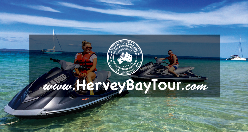 HerveyBayTour.com | travel agency | 414 Esplanade, Torquay QLD 4655, Australia | 0409555820 OR +61 409 555 820