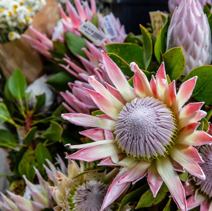 Tullys Flowers | florist | 630 Moorooduc Hwy, Mornington VIC 3931, Australia | 0359788715 OR +61 3 5978 8715