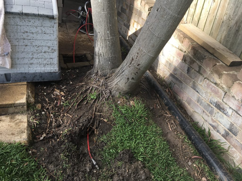 Jared The Plumber | 3 Barcoola Pl, Bayview NSW 2104, Australia | Phone: (02) 9151 7360