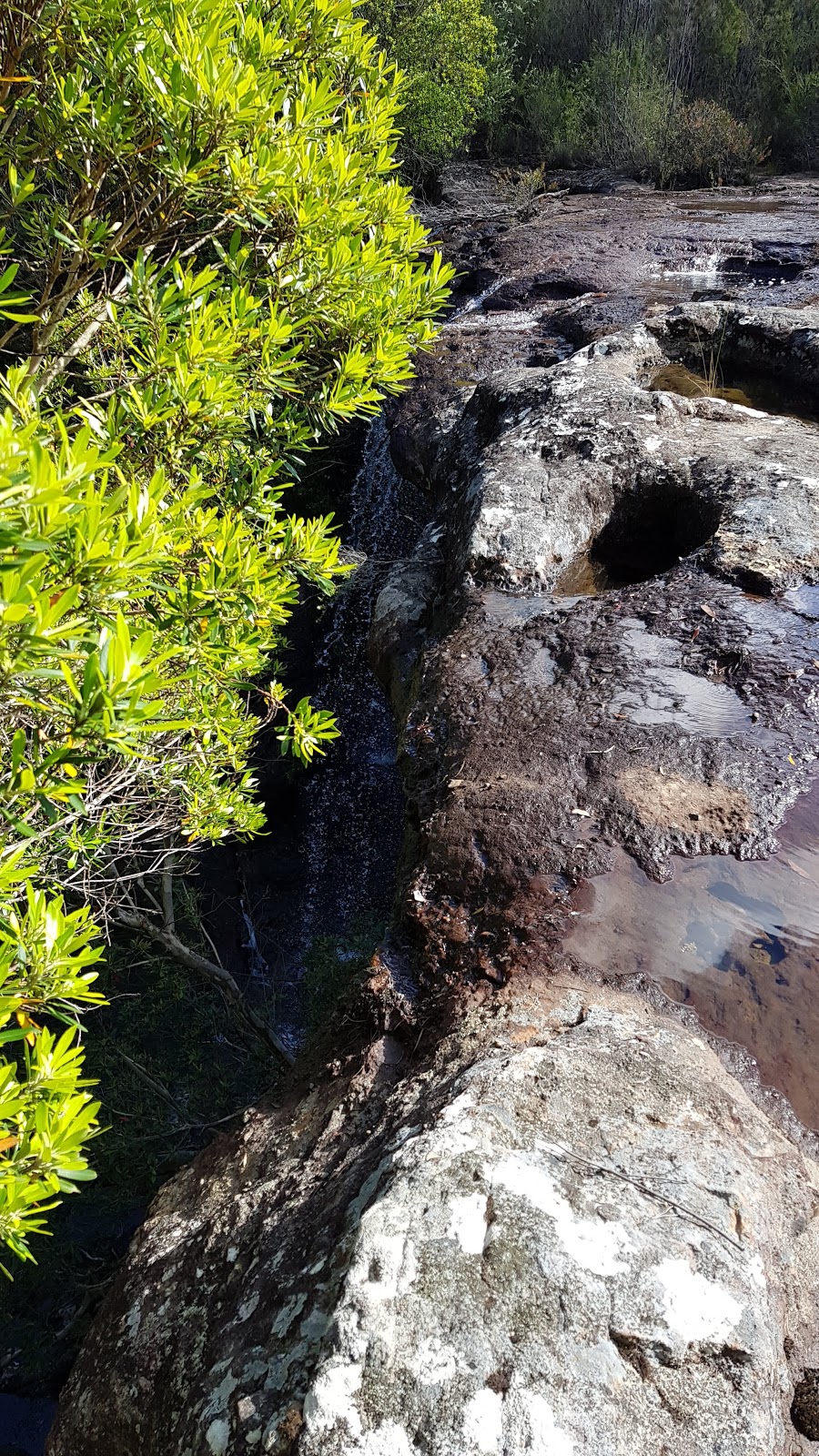 Parma Creek Nature Reserve | park | Yerriyong NSW 2540, Australia