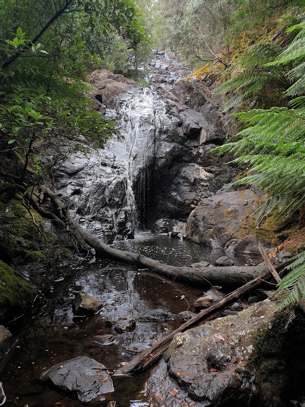 Silver Falls | park | Nietta TAS 7315, Australia