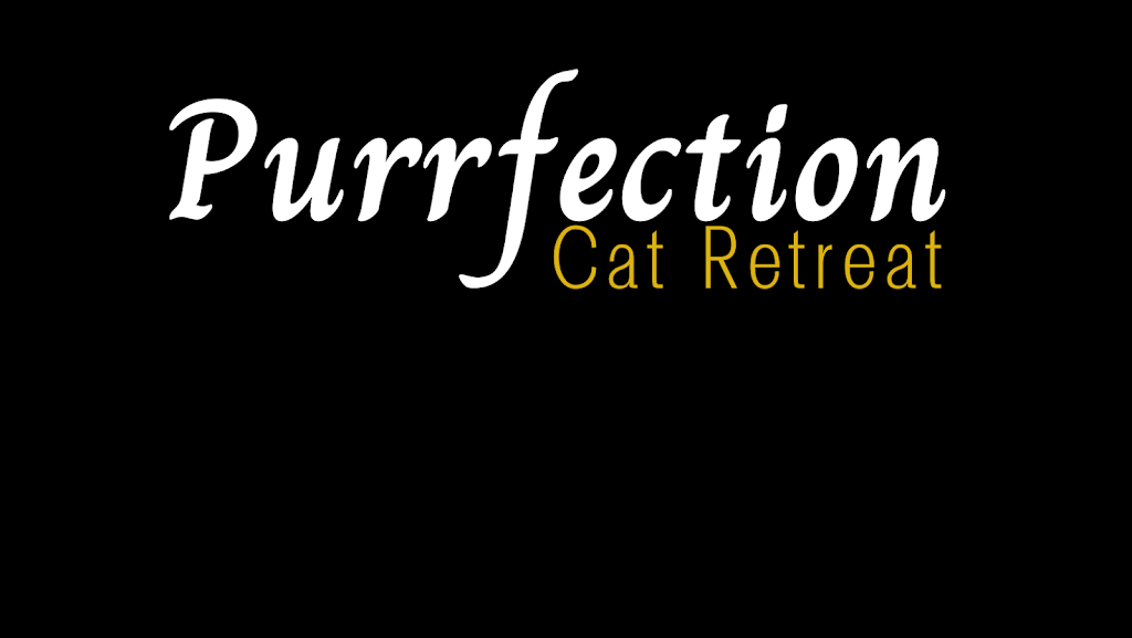 Purrfection Cat Retreat | 16 Ryan Rd, Medowie NSW 2318, Australia | Phone: (02) 4982 8998