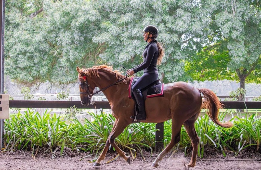 M & L Equestrian | 1171 Nowra Rd, Fitzroy Falls NSW 2577, Australia | Phone: 0402 218 470
