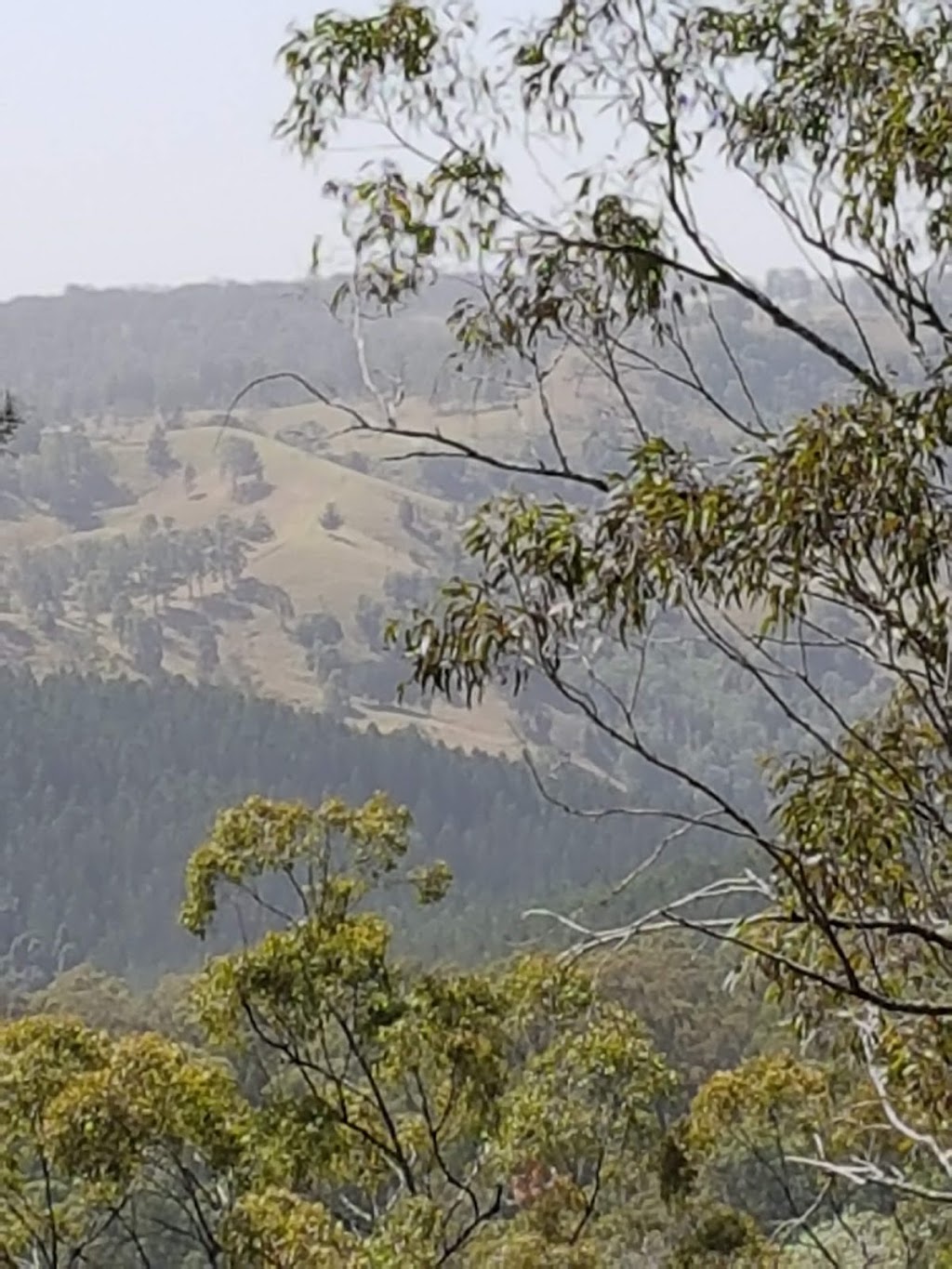 Daguilar National Park | Mount Glorious QLD 4520, Australia