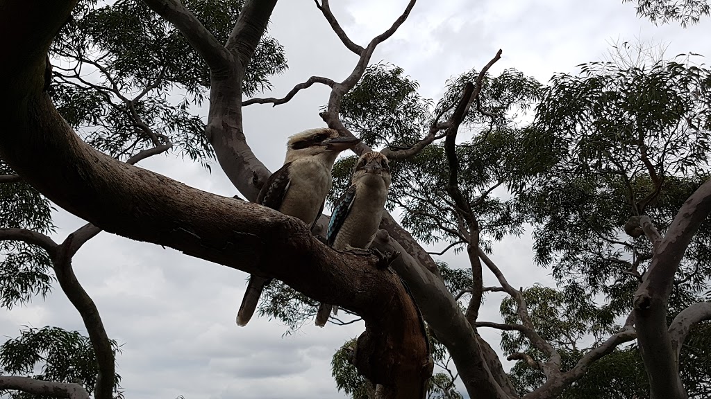 Websters Lookout | Oatley Park, Oatley NSW 2223, Australia | Phone: (02) 9330 6400