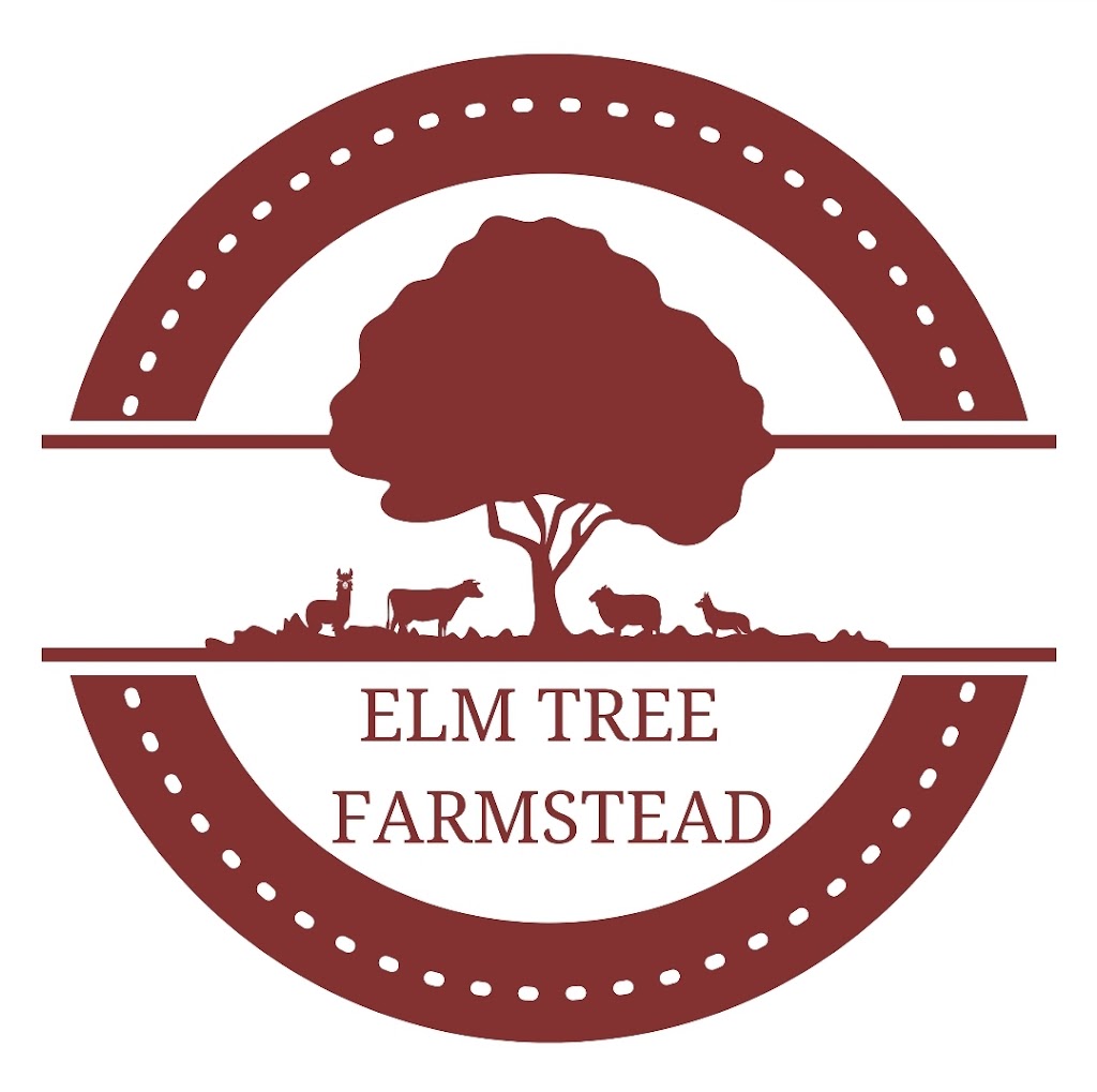 Elmtree Farmstead | 421 Goomburra Rd, Berat QLD 4362, Australia | Phone: 0467 980 619