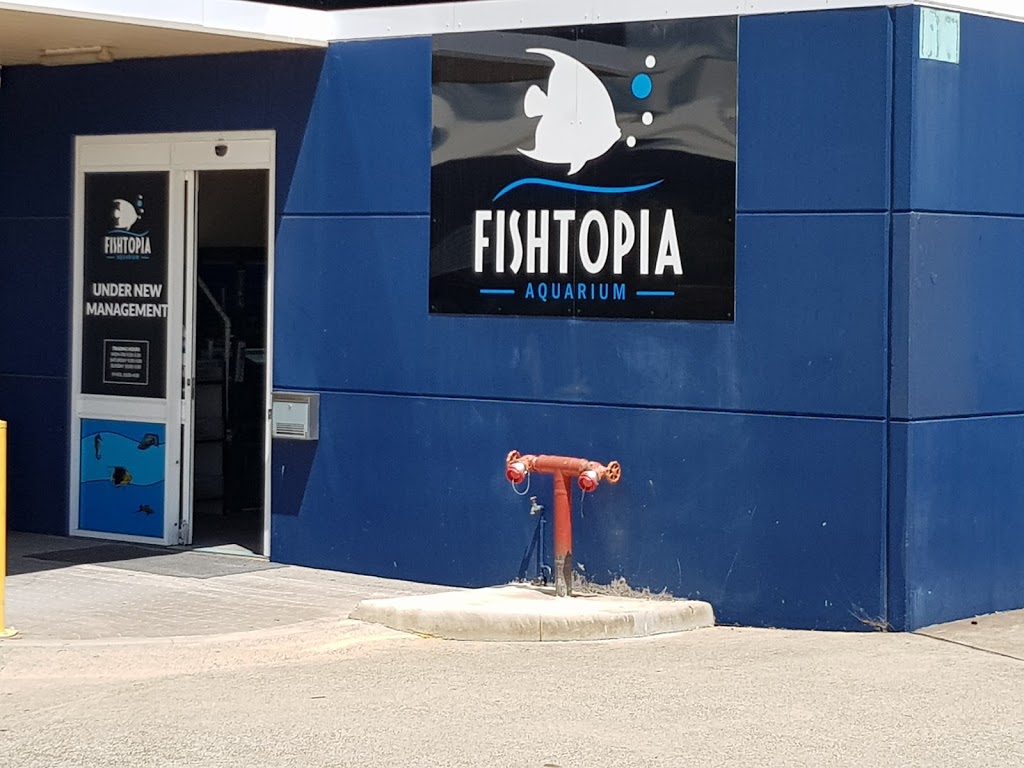 Fishtopia Aquarium | aquarium | 1/18 Blaxland Rd, Campbelltown NSW 2560, Australia | 0246282353 OR +61 2 4628 2353