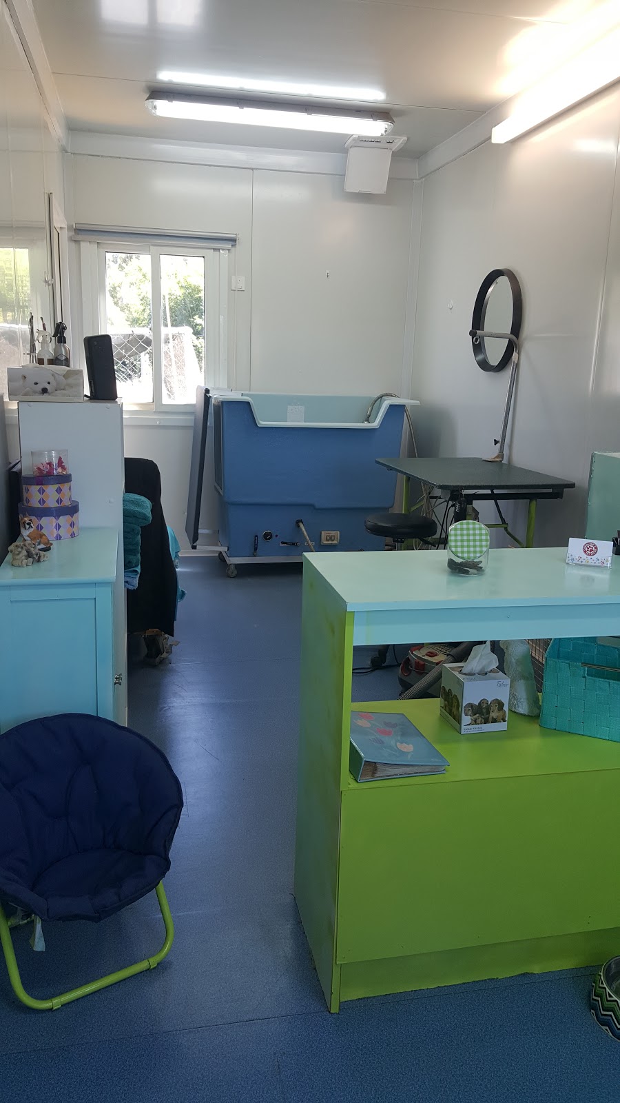 Carolines Pet Salon |  | 63 Turner Rd, Riordanvale QLD 4800, Australia | 0419029900 OR +61 419 029 900