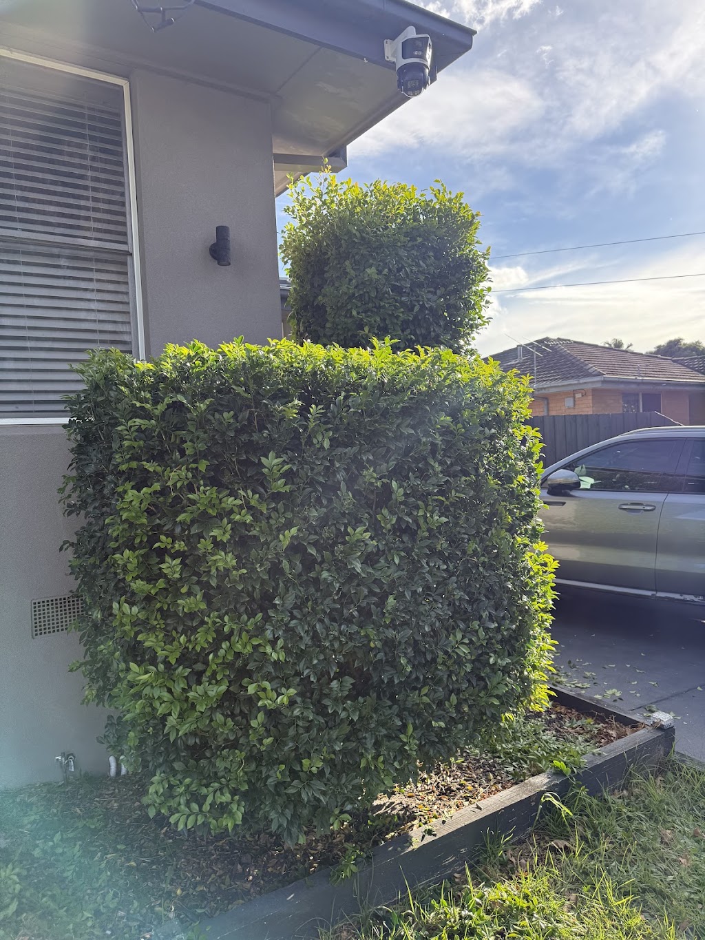 Procut lawn & property services | 30 Cornflower Rise, Botanic Ridge VIC 3977, Australia | Phone: 0418 819 662