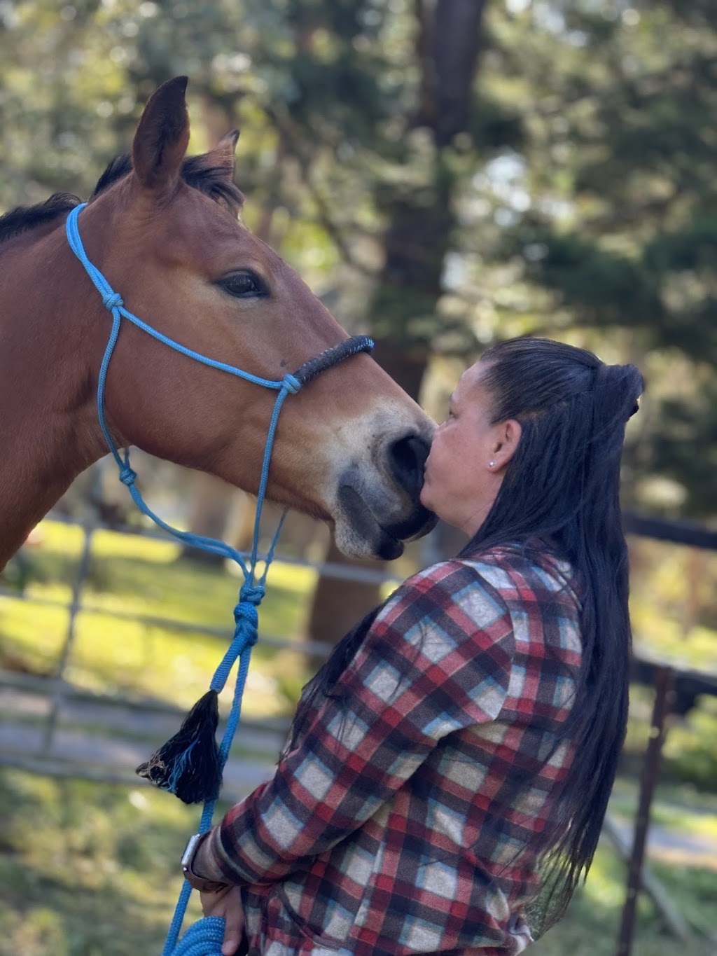 MAJ Counselling and Equine Assisted Therapy | 611 Tallebudgera Creek Rd, Tallebudgera Valley QLD 4228, Australia | Phone: 0409 363 538