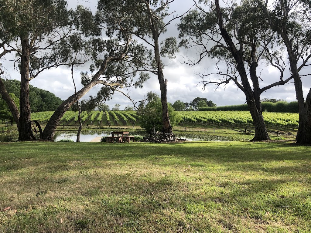 Cobboboonee Vineyard and Cellar Door | 376 Catons Flat Rd, Heywood VIC 3304, Australia | Phone: 0436 961 176