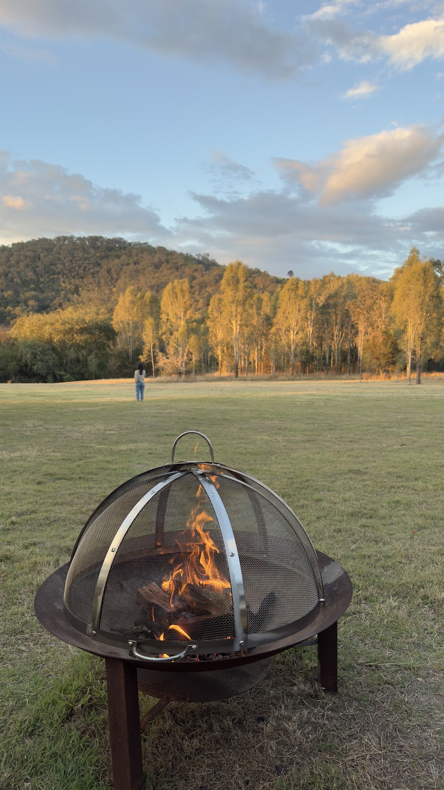 Fox Hill Grove | 189 Bunburra Rd, Bunburra QLD 4310, Australia | Phone: 0475 722 064