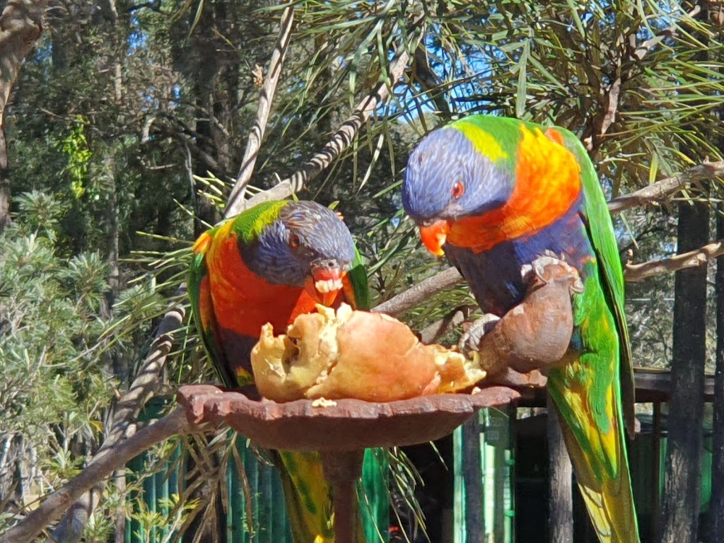 K&C Farmstays - NDIS Respite & Disability STA | 1126 E Seaham Rd, Clarence Town NSW 2321, Australia | Phone: 0482 430 691