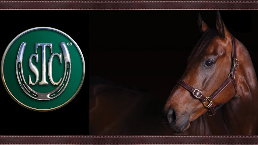 Saddlery Trading Company | 14 Exeter Way, Caloundra West QLD 4551, Australia | Phone: (07) 5490 5500