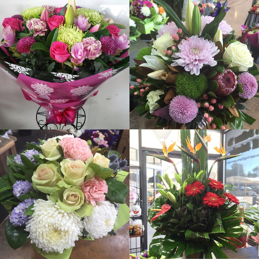 Spring Flora | 753 Hume Hwy, Bass Hill NSW 2197, Australia | Phone: (02) 9728 3822