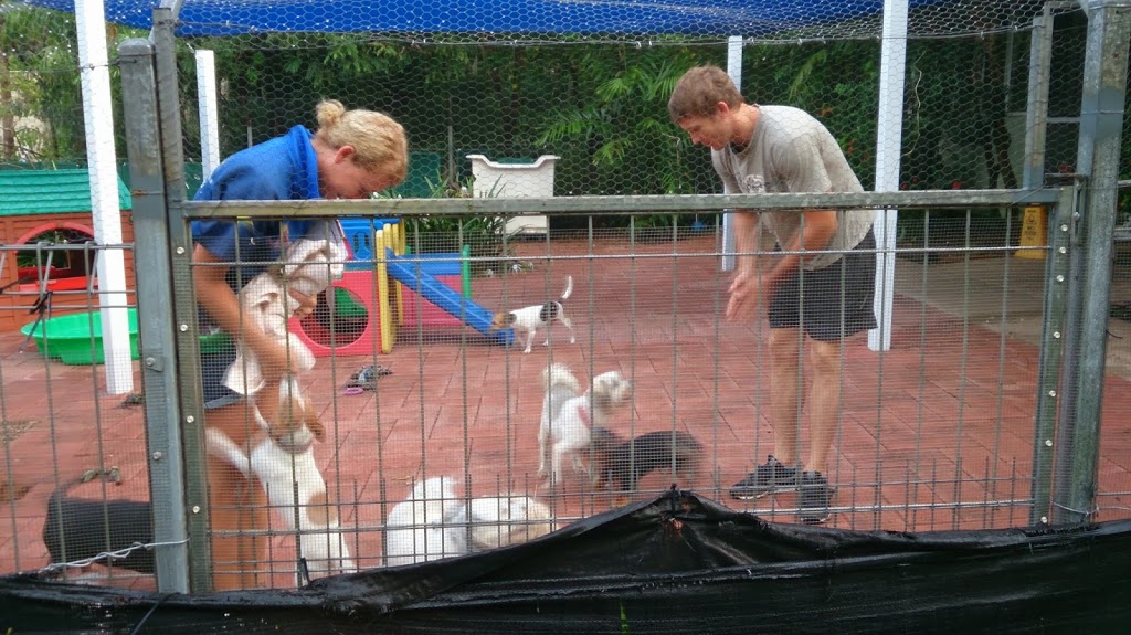 Helgas Pet Resort | veterinary care | 25 Francesca Circuit, Virginia NT 0835, Australia | 0889831717 OR +61 8 8983 1717