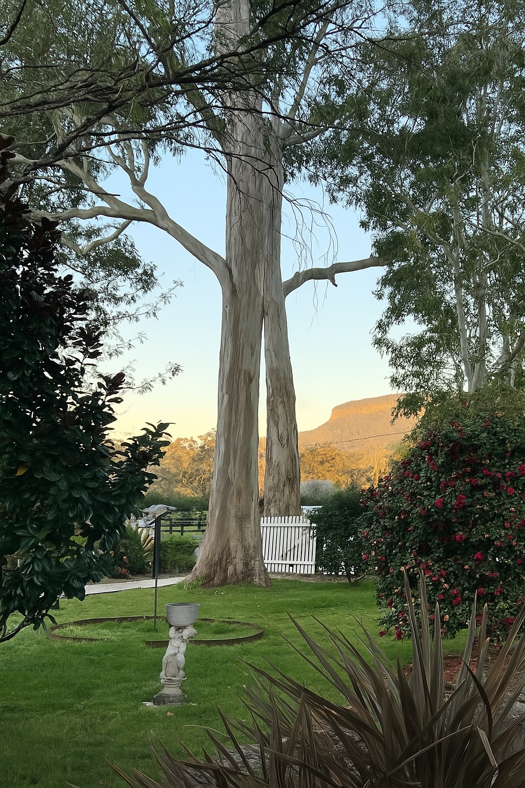 Wyobie Kangaroo Valley | 8 Nugents Creek Rd, Kangaroo Valley NSW 2577, Australia | Phone: 0404 860 184