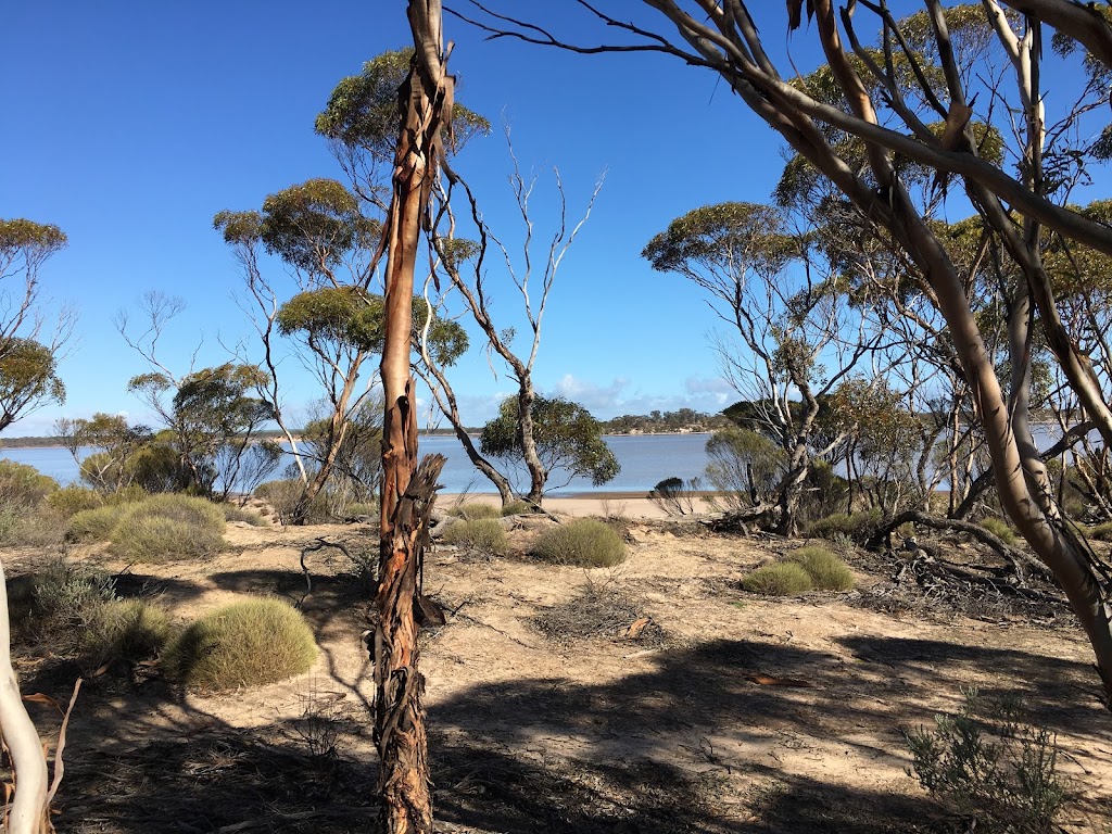 Gawler Ranges National Park | Barns Rd, Gawler Ranges SA 5655, Australia | Phone: (08) 8688 3111