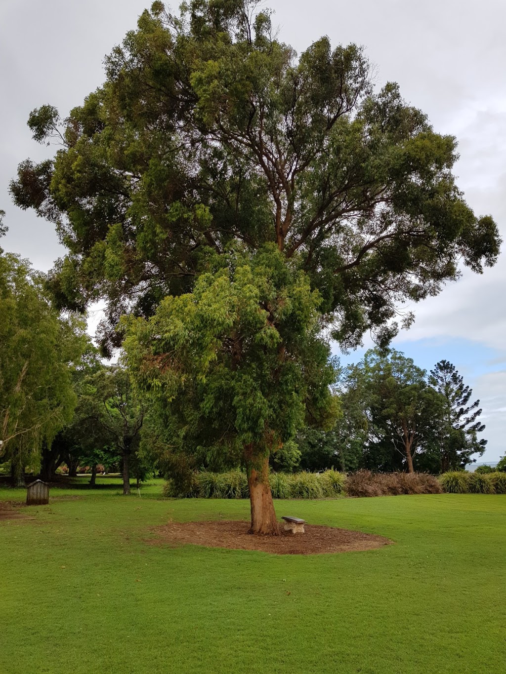 Santa Teresa Spirituality Centre | 267 Wellington St, Ormiston QLD 4160, Australia | Phone: (07) 3286 4011