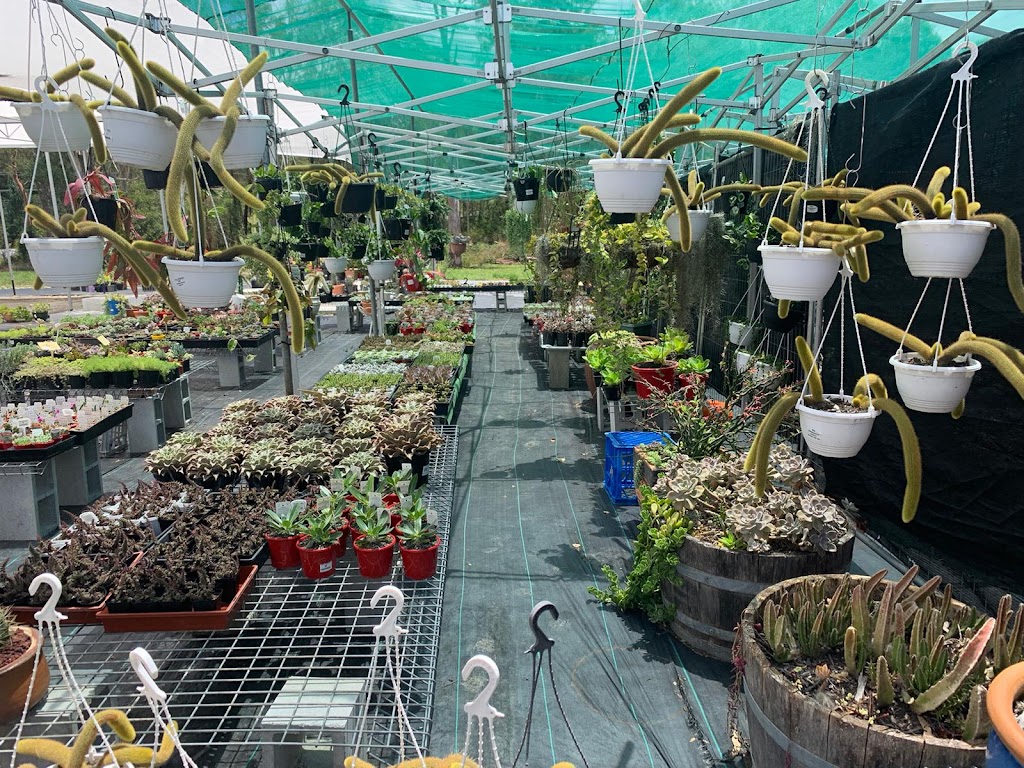 Ozzy Nursery | 173 New Beith Rd, Greenbank QLD 4124, Australia | Phone: 0411 862 014