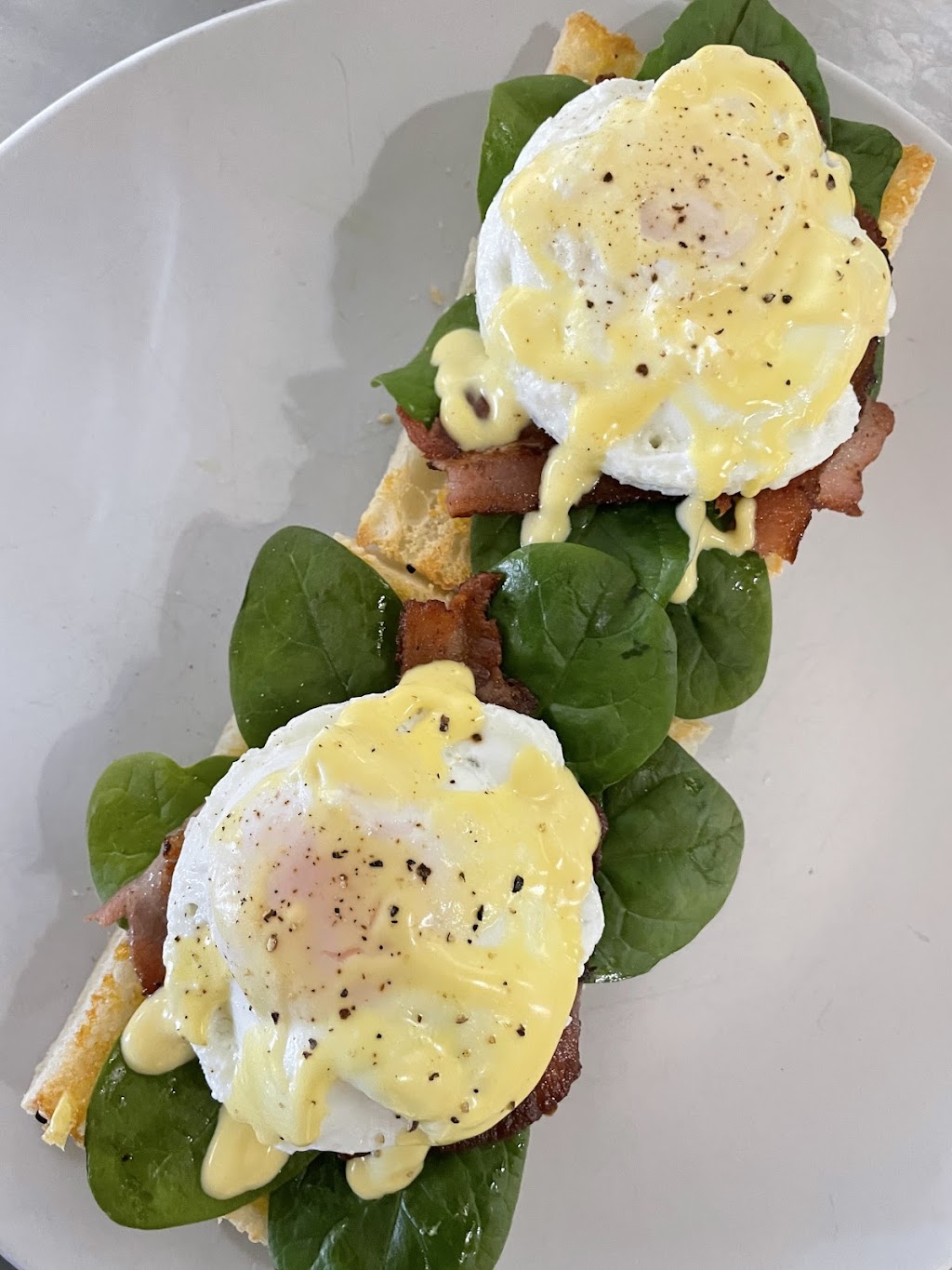 Texas Bakery, Cafe and Groceries | 2 High St, Texas QLD 4385, Australia | Phone: (07) 4653 0123