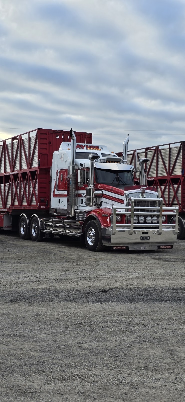 Paynes Livestock Transport | 50 Hall Rd, Pakenham South VIC 3810, Australia | Phone: 0408 344 194