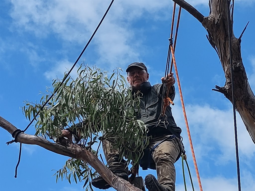 Jeromes Tree Pruning | 15 Coughlan Grove, Ocean Beach WA 6333, Australia | Phone: (08) 6801 7305