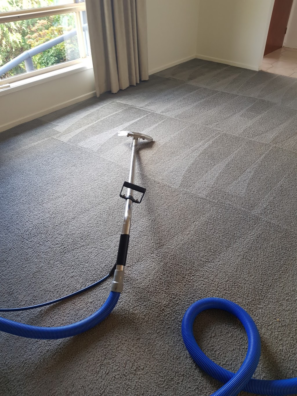 Border Carpet & Window Cleaning | Sunart St, Maclean NSW 2463, Australia | Phone: 0400 269 199