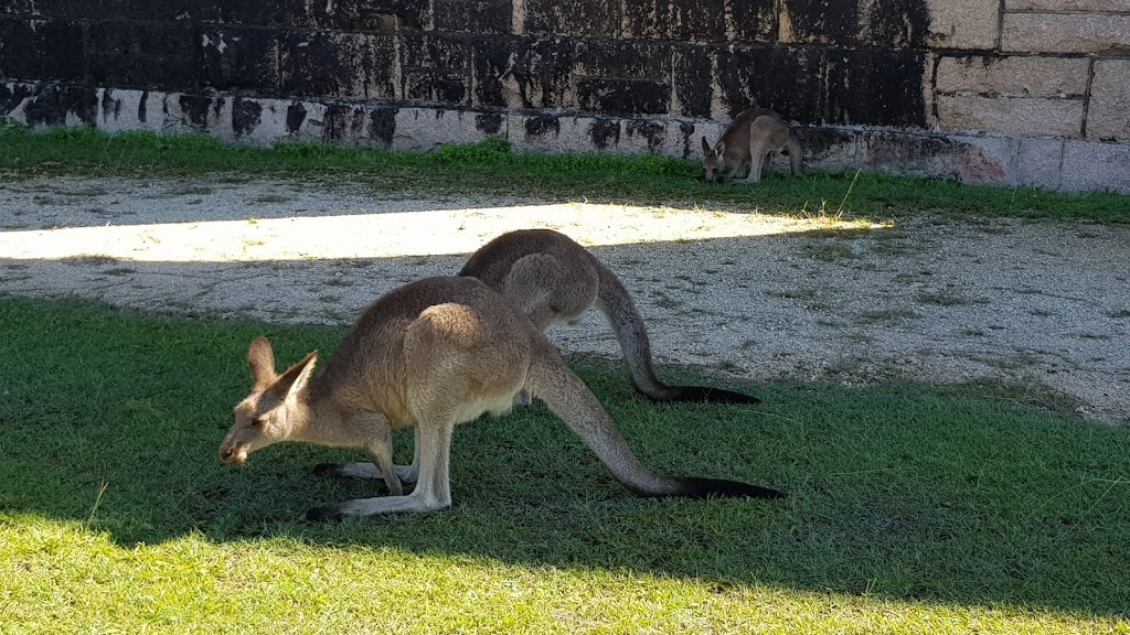 Arakoon National Park | park | Phillip Dr, South West Rocks NSW 2431, Australia | 0265666168 OR +61 2 6566 6168