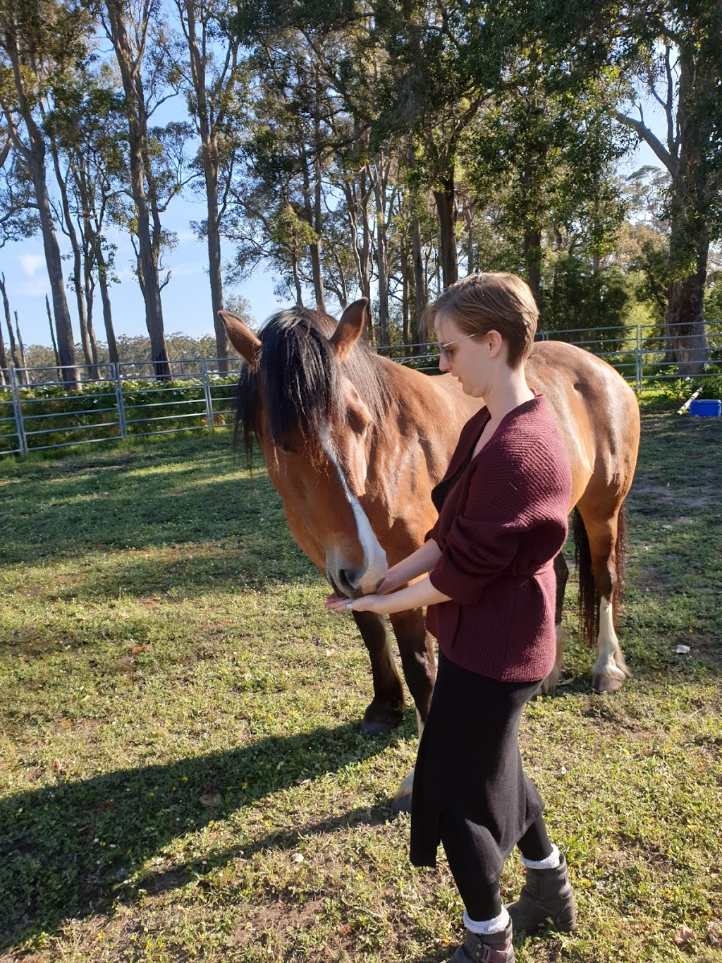 Horse Vision Centre | cnr Boallia Rd &, Rendezvous Rd, Vasse WA 6280, Australia | Phone: 0431 627 186