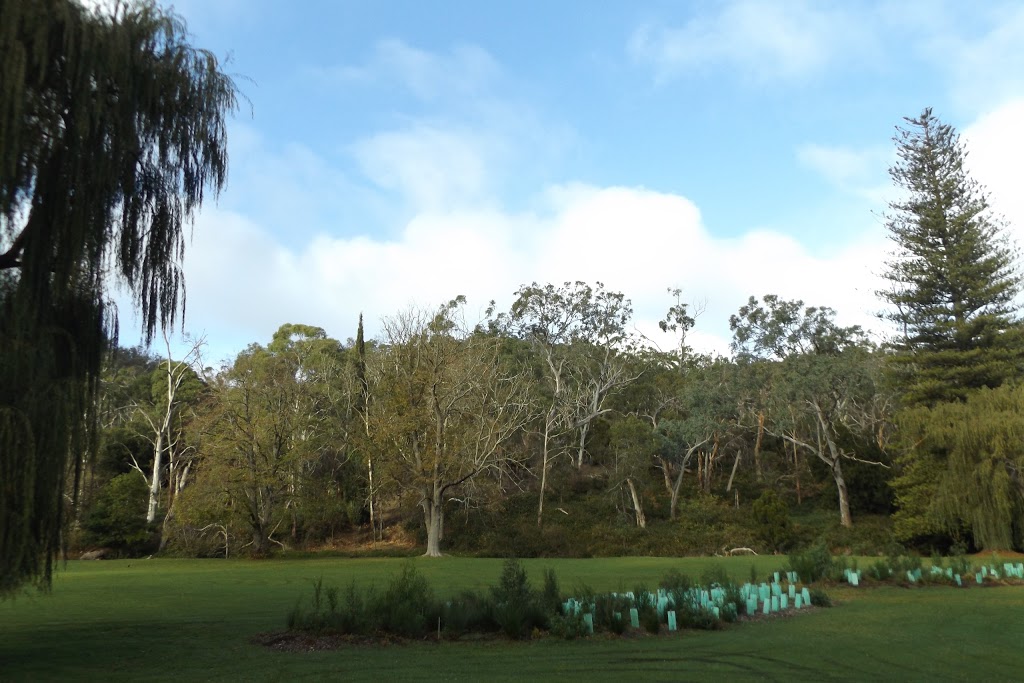 Willows Picnic Area | Belair SA 5052, Australia