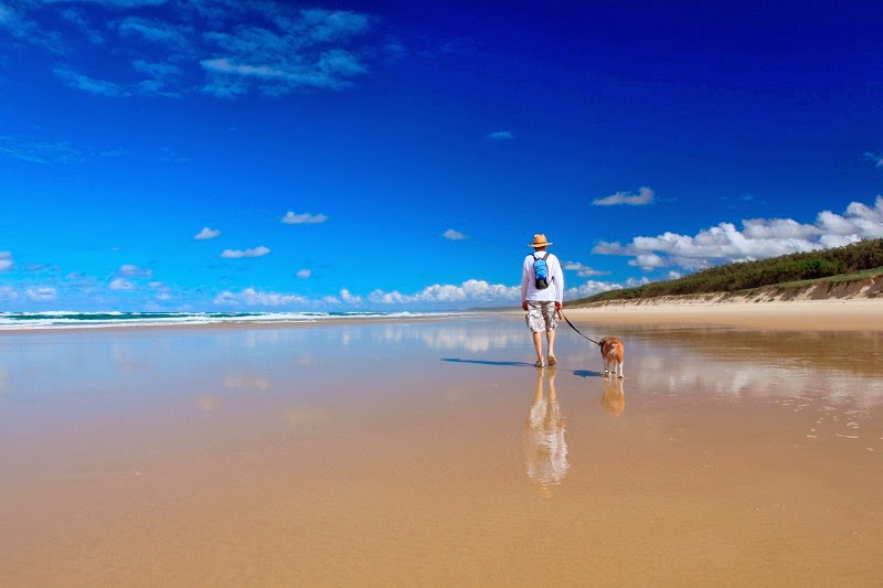 Main Beach Camping Grounds | Alfred Martin Way, North Stradbroke Island QLD 4183, Australia | Phone: (07) 3409 9668