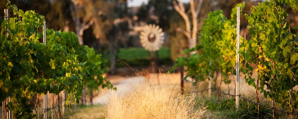 Baarmutha wines | 1184 Diffey Rd, Beechworth VIC 3747, Australia | Phone: 0458 850 252