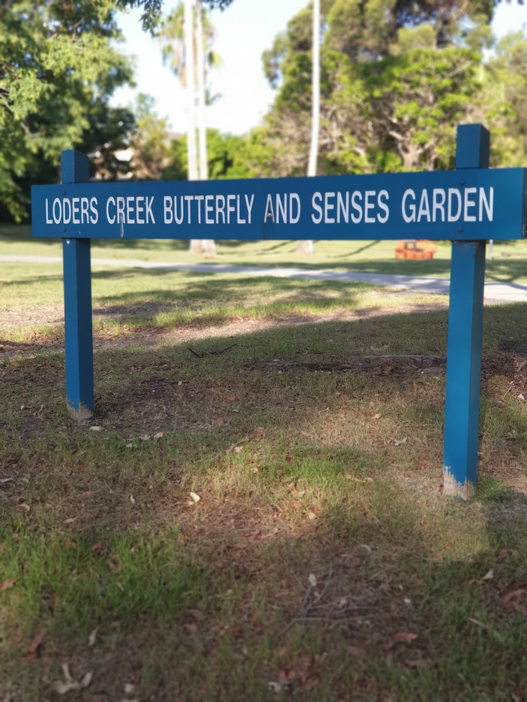 Loders Creek Butterfly and Senses Garden | park | 2/13 Maltman Ave, Southport QLD 4215, Australia