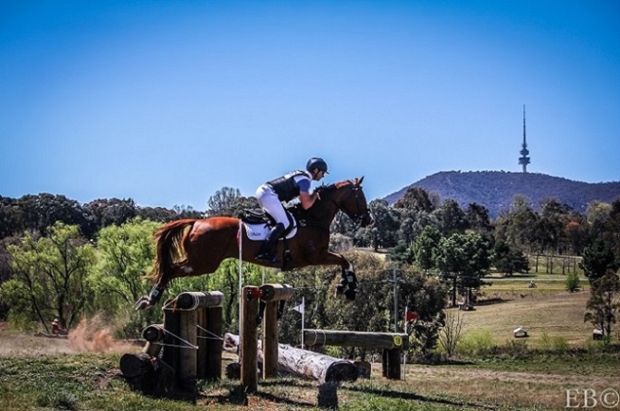 Baroona Sport Horses |  | 100 Hardwicke St, The Oaks NSW 2570, Australia | 0487224085 OR +61 487 224 085