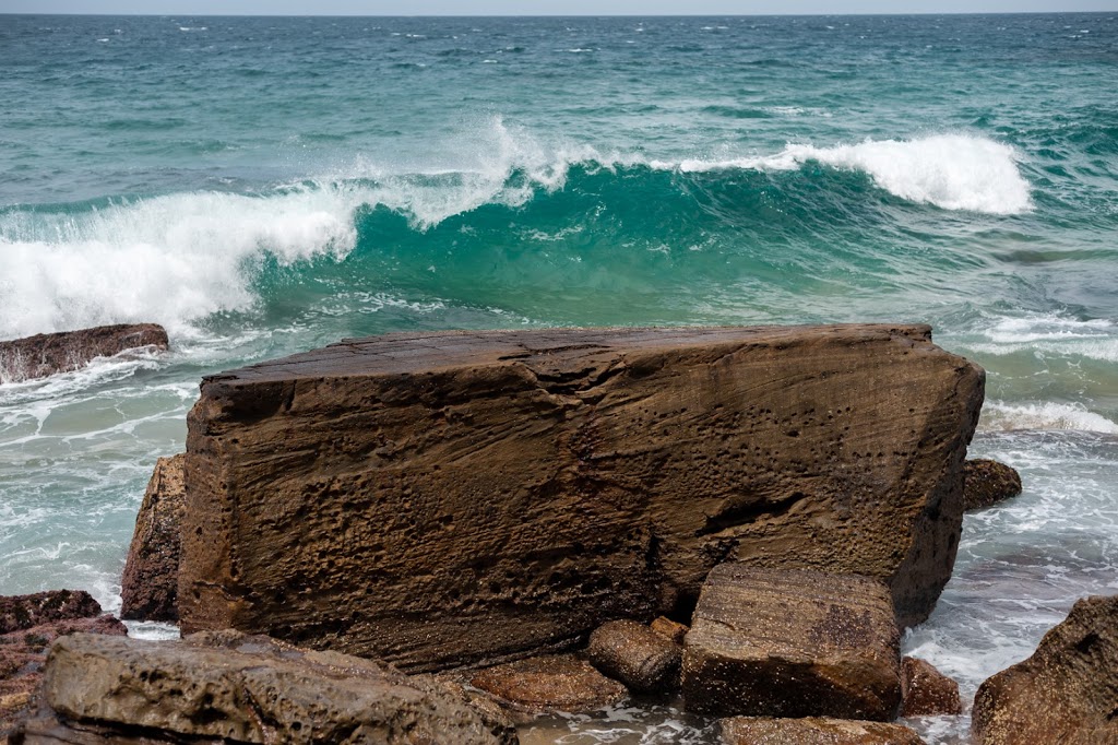 Bungan Headland | Newport NSW 2106, Australia