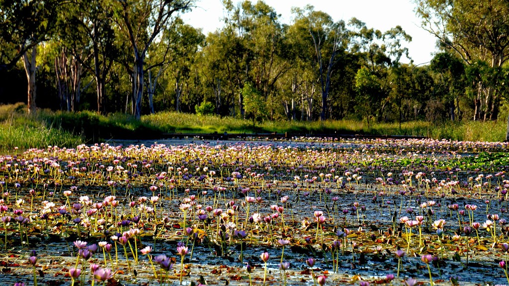 Chinamans Lagoon | park | Miles QLD 4415, Australia