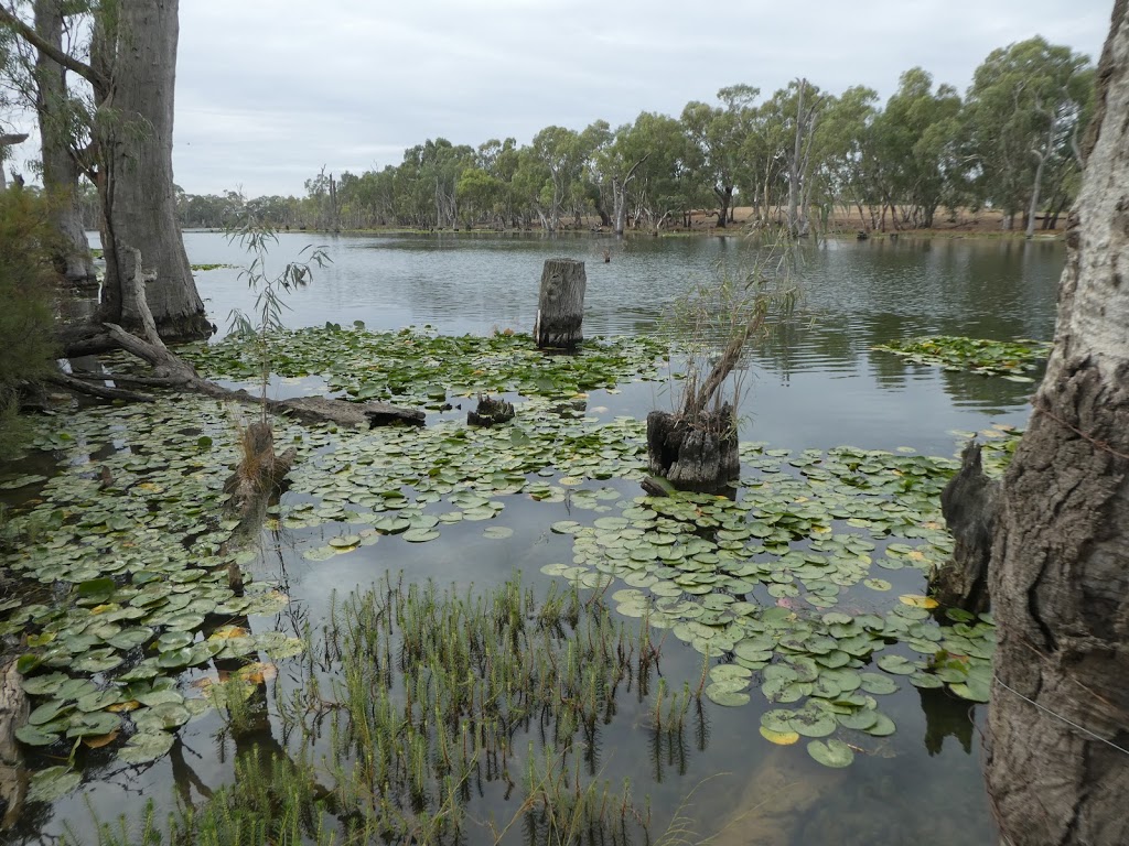Cockatoo Lagoon | park | Thompsons Bridge Rd, Gunbower VIC 3566, Australia