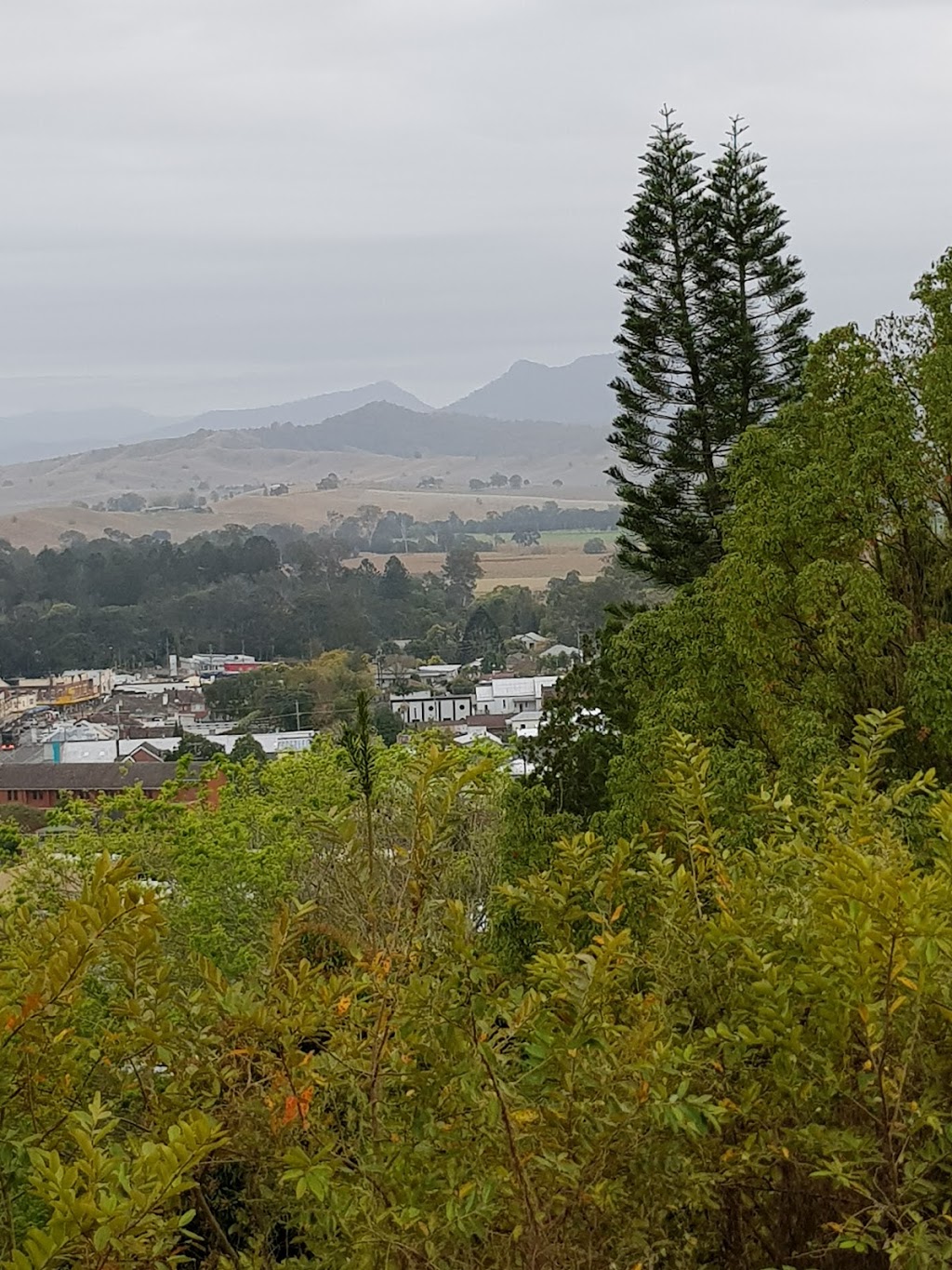 Kyogle Lookout | 31 Mount St, Kyogle NSW 2474, Australia