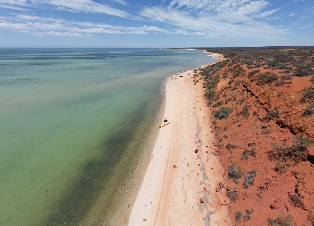 Paddling Monkey Mia Kayak Safaris and SUP Hire | 1 Monkey Mia Rd, Shark Bay WA 6537, Australia | Phone: 0428 911 283