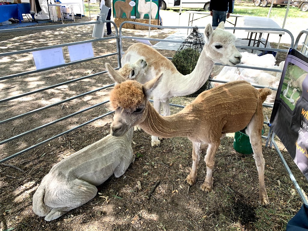 Murrumbateman Field Days | Recreation Grounds, 19 East St, Murrumbateman NSW 2582, Australia | Phone: (02) 6227 5895