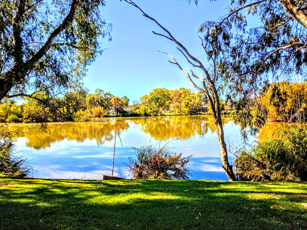 Fromholtz park | park | 467 Ebden St, South Albury NSW 2640, Australia